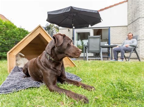 weekend weg met hond omheinde tuin|12x Mooie vakantiehuisjes in Zuid